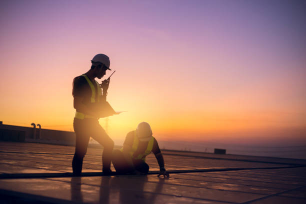 Best Flat Roof Repair Services  in South Holland, IL