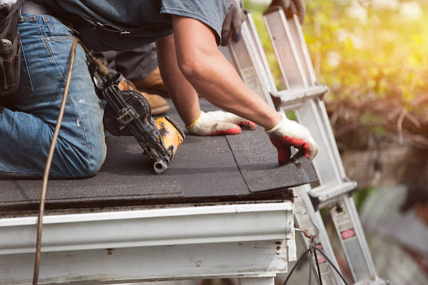 Best Storm Damage Roof Repair  in South Holland, IL