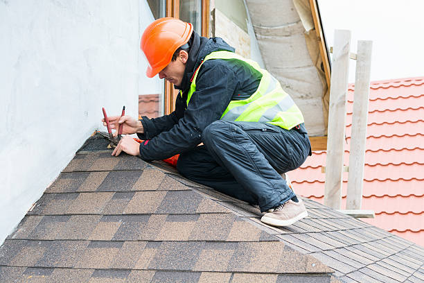 Best Residential Roofing Contractor  in South Holland, IL